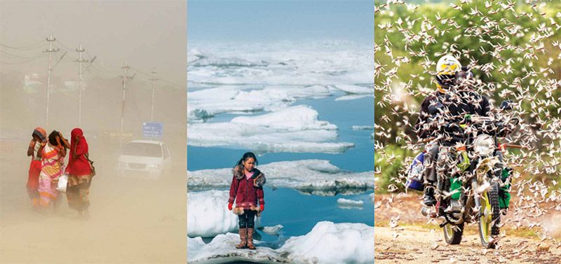 新型生物刺激素集成技術(shù) -- 積極應(yīng)對非生物脅迫對農(nóng)業(yè)生產(chǎn)影響，助力糧食產(chǎn)量和農(nóng)產(chǎn)品品質(zhì)雙提升