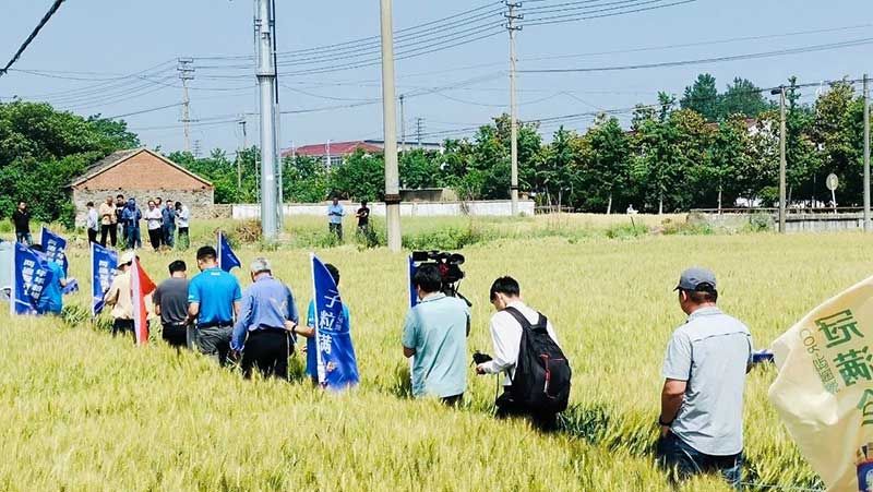 520健康植保日——擁抱綠色農(nóng)業(yè)，我們?cè)谛袆?dòng)