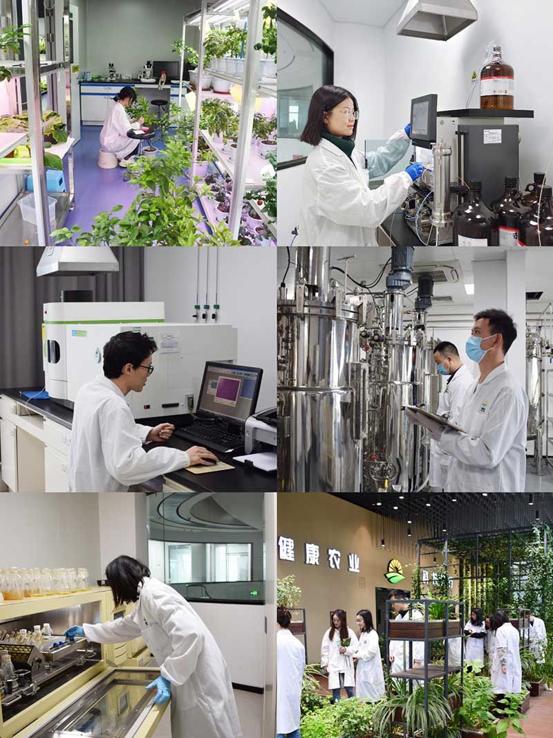 “全國(guó)科技工作者日”：推動(dòng)農(nóng)業(yè)綠色高質(zhì)量發(fā)展，新朝陽(yáng)科研人在路上