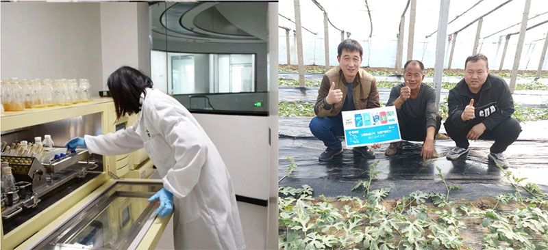 打造新朝陽(yáng)生物科技“五張名片”，服務(wù)農(nóng)業(yè)高質(zhì)量發(fā)展！