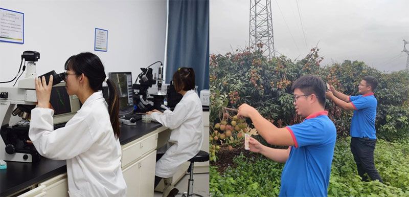 打造新朝陽(yáng)生物科技“五張名片”，服務(wù)農(nóng)業(yè)高質(zhì)量發(fā)展！