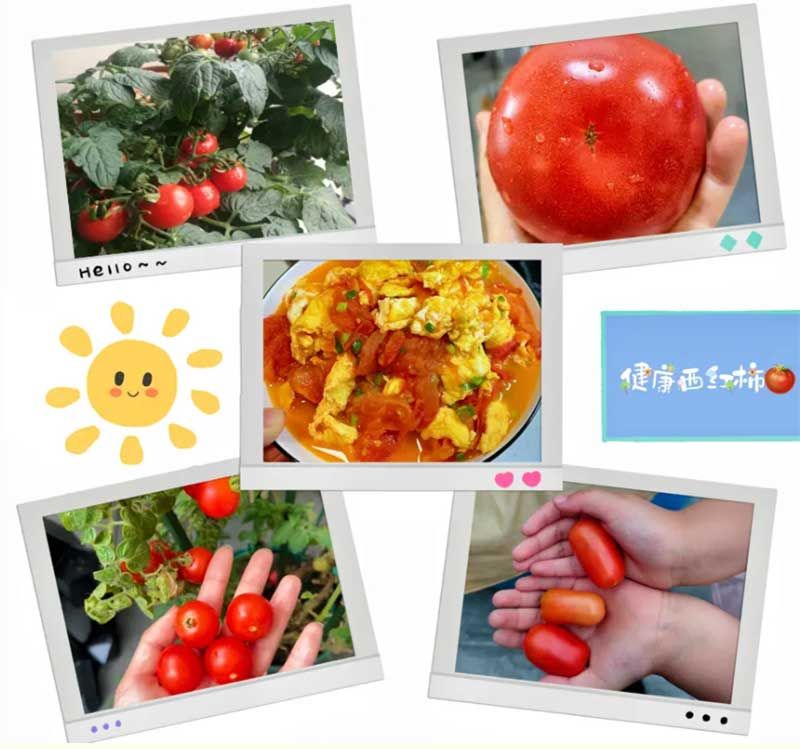 朝陽(yáng)農(nóng)藝師系列活動(dòng)